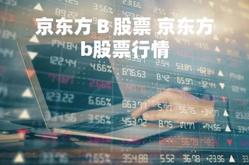 京东方Ｂ股票 京东方b股票行情