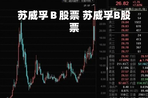 苏威孚Ｂ股票 苏威孚B股票