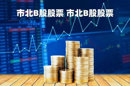 市北B股股票 市北B股股票