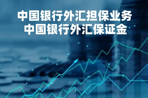 中国银行外汇担保业务 中国银行外汇保证金业务