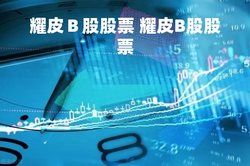 耀皮Ｂ股股票 耀皮B股股票