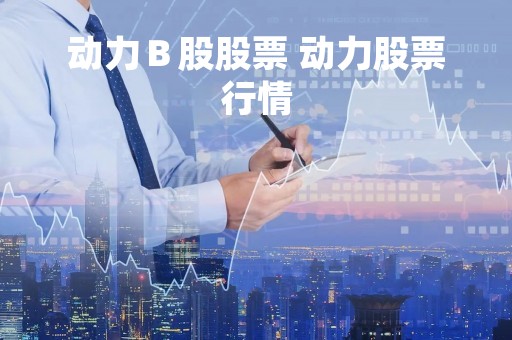 动力Ｂ股股票 动力股票行情