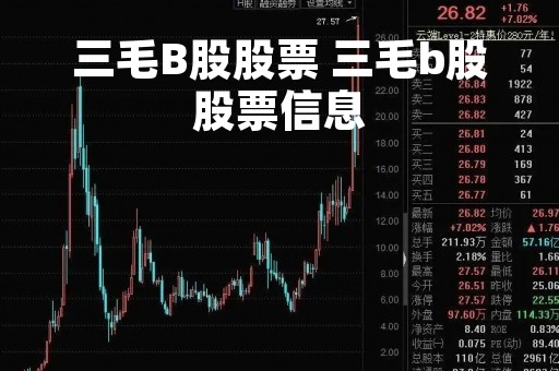 三毛B股股票 三毛b股股票信息