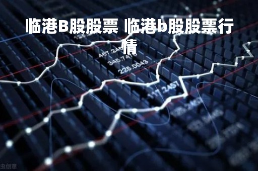 临港B股股票 临港b股股票行情