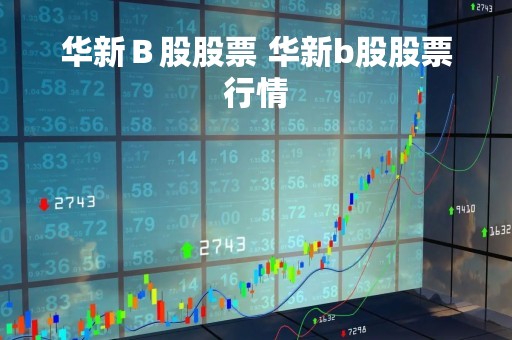 华新Ｂ股股票 华新b股股票行情