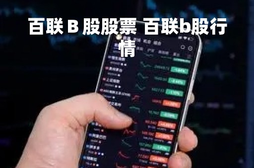 百联Ｂ股股票 百联b股行情