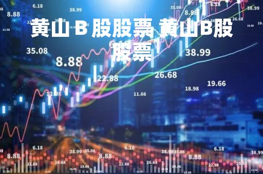 黄山Ｂ股股票 黄山B股股票