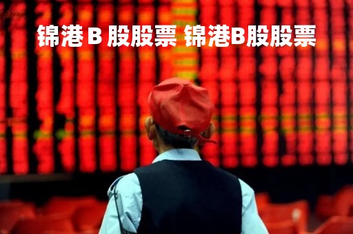 锦港Ｂ股股票 锦港B股股票