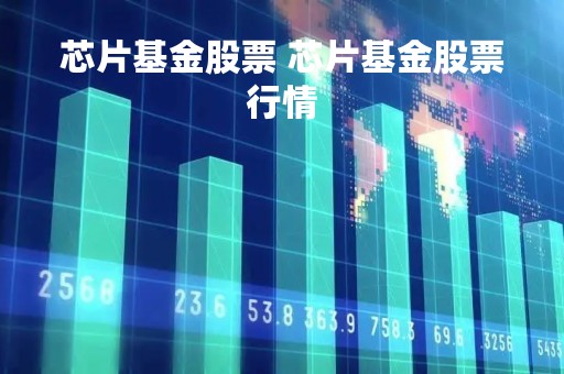 芯片基金股票 芯片基金股票行情