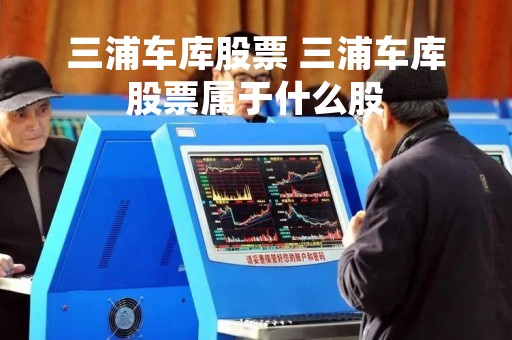 三浦车库股票 三浦车库股票属于什么股