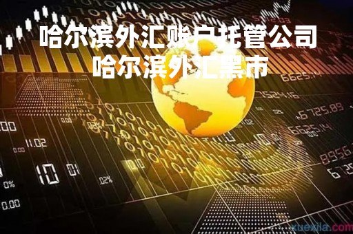 哈尔滨外汇账户托管公司 哈尔滨外汇黑市