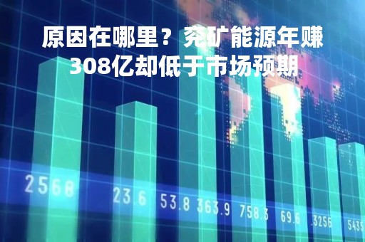 原因在哪里？兖矿能源年赚308亿却低于市场预期