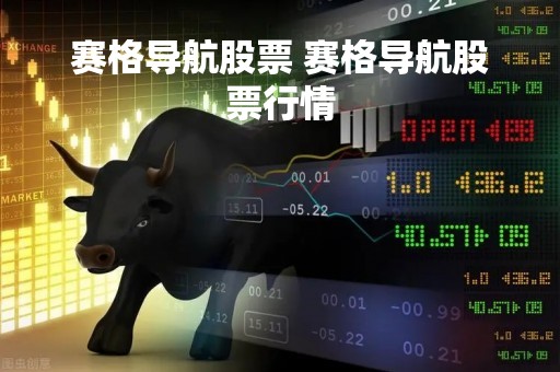 赛格导航股票 赛格导航股票行情
