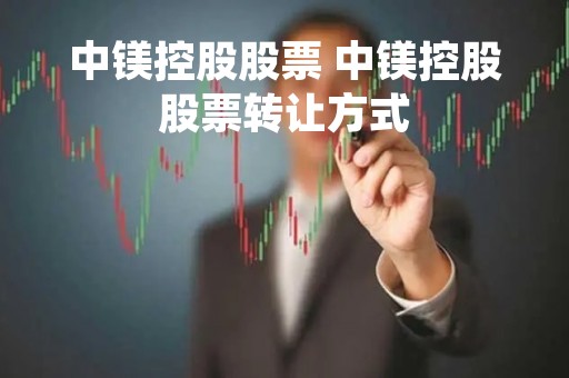 中镁控股股票 中镁控股股票转让方式