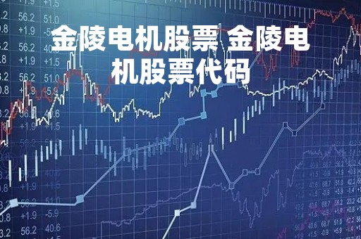 金陵电机股票 金陵电机股票代码