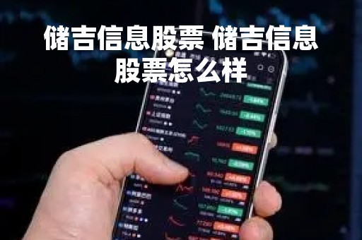 储吉信息股票 储吉信息股票怎么样