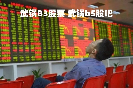 武锅B3股票 武锅b5股吧