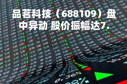 品茗科技（688109）盘中异动 股价振幅达7.2%  上涨6.85%（05-10）