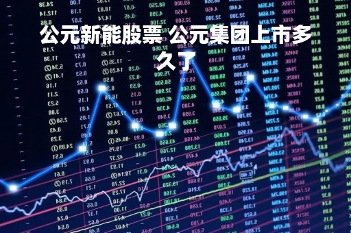 公元新能股票 公元集团上市多久了
