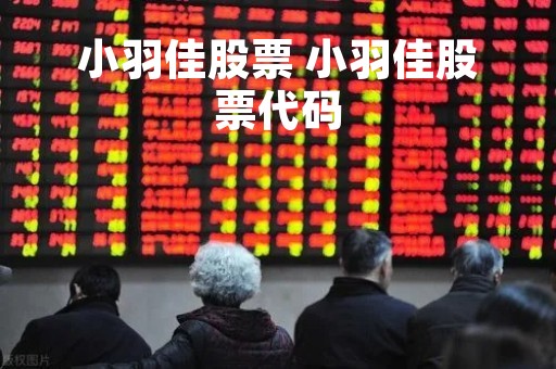 小羽佳股票 小羽佳股票代码