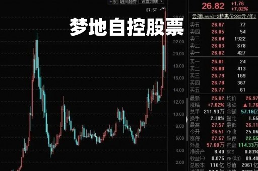 梦地自控股票 