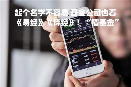 起个名字不容易 基金公司也看《易经》《诗经》！“盾基金”“迷宫基金”…有投资者干脆看图喊名