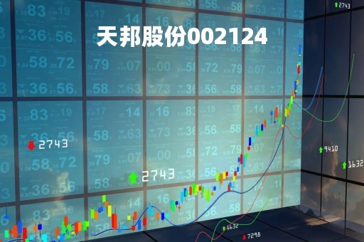 天邦股份002124