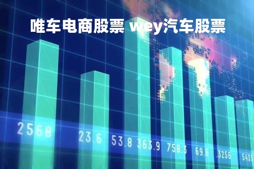 唯车电商股票 wey汽车股票