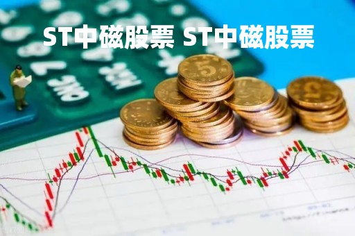 ST中磁股票 ST中磁股票