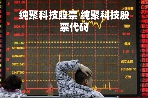 纯聚科技股票 纯聚科技股票代码