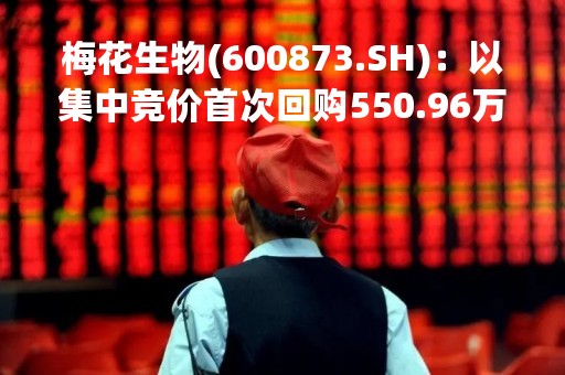 梅花生物(600873.SH)：以集中竞价首次回购550.96万股 耗资4999.17万元