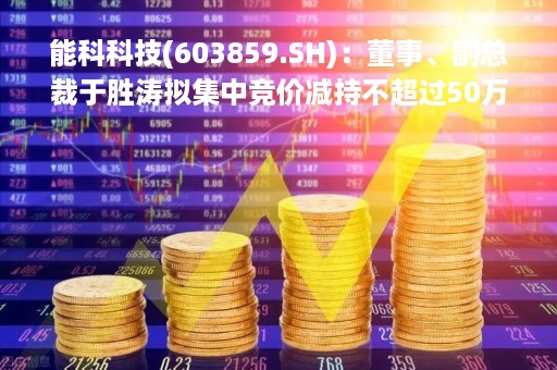 能科科技(603859.SH)：董事、副总裁于胜涛拟集中竞价减持不超过50万股