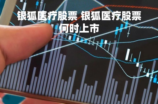 银狐医疗股票 银狐医疗股票何时上市