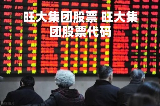旺大集团股票 旺大集团股票代码