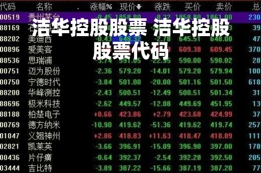 洁华控股股票 洁华控股股票代码