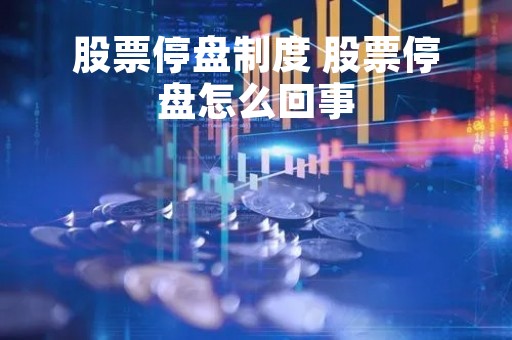 股票停盘制度 股票停盘怎么回事