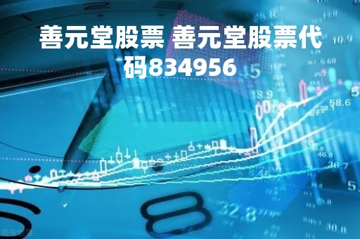 善元堂股票 善元堂股票代码834956