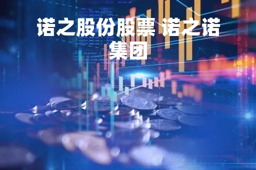 诺之股份股票 诺之诺集团