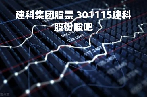 建科集团股票 301115建科股份股吧