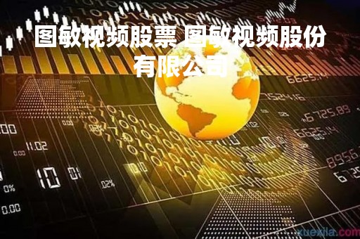 图敏视频股票 图敏视频股份有限公司