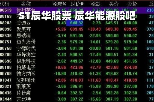 ST辰华股票 辰华能源股吧