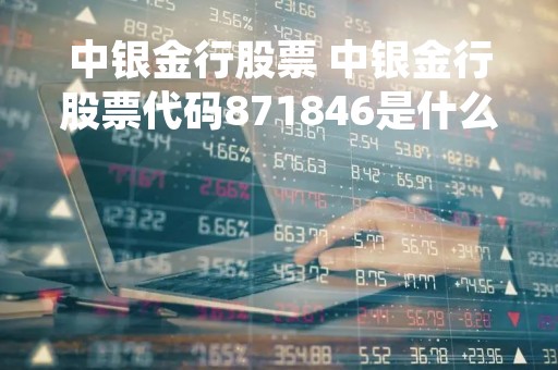 中银金行股票 中银金行股票代码871846是什么意思