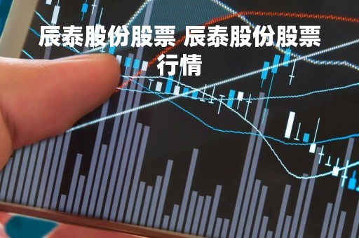 辰泰股份股票 辰泰股份股票行情