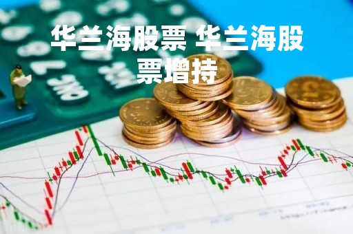 华兰海股票 华兰海股票增持