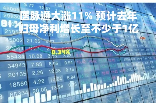 医脉通大涨11% 预计去年归母净利增长至不少于1亿元