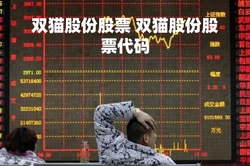 双猫股份股票 双猫股份股票代码