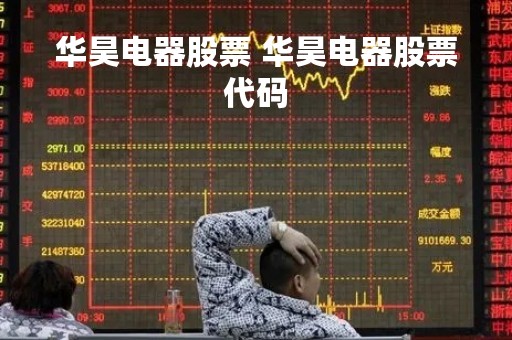 华昊电器股票 华昊电器股票代码
