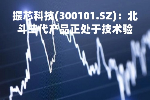 振芯科技(300101.SZ)：北斗三代产品正处于技术验证及小规模落地阶段