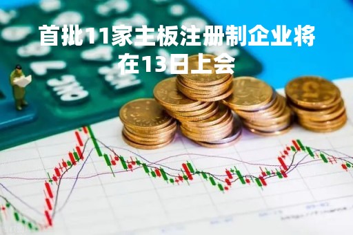 首批11家主板注册制企业将在13日上会