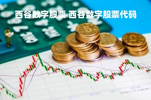 西谷数字股票 西谷数字股票代码